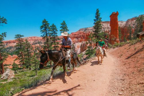 Bryce Canyon 