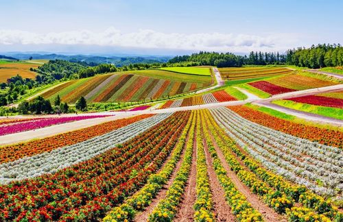 Hokkaido