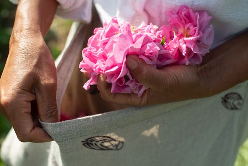 Duftspaziergang durch die Gärten des Musée International de la Parfumerie