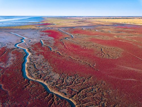 Envie de changer de la plage de Portissol ? Découvrez les plages les plus surprenantes du monde