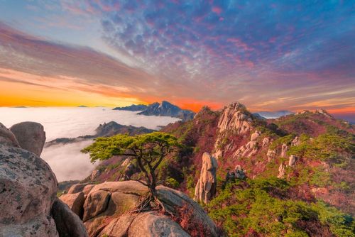Parco nazionale di Bukhansan, inserito nel Guinness dei primati