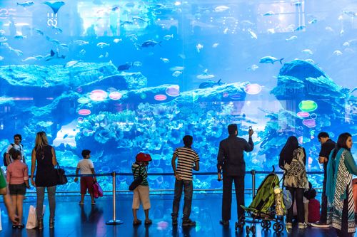 Top family activities in Dubai