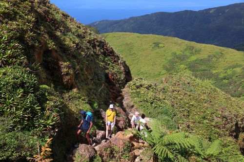 Entdecken Sie die prächtigen Landschaften des Nationalparks von Guadeloupe