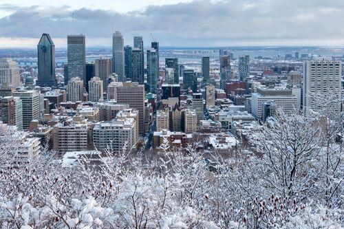 Plus que quelques jours avant Noël : que faire à Montréal pour profiter de la magie des fêtes ?
