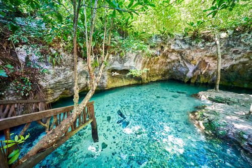 “On n’a jamais vu une eau si claire !” 5 cenotes à découvrir entre Tulum et Playa del Carmen au Mexique