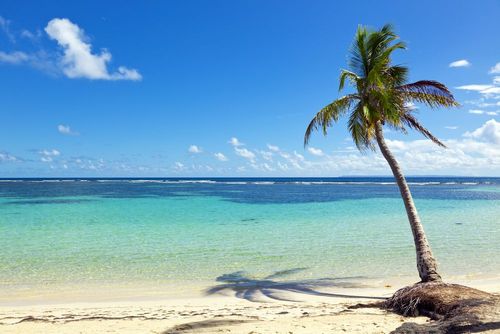 Lagons, plages de sable blanc, volcan... voici 5 spots qui font la renommée de la Guadeloupe  ! 