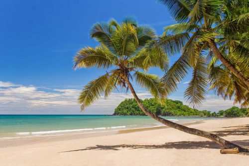 Découvrez les paysages idylliques de l'île de Nosy Be, la baie cachée de Madagascar !
