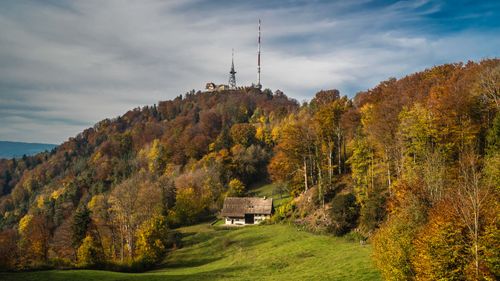 Einen Spaziergang auf dem Üetliberg machen