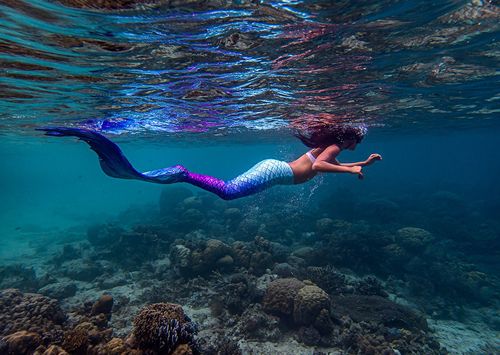 Laissez tomber le surf et découvrez le mermaiding (une activité où vous pourrez devenir une vraie sirène) ! A découvrir dans le golfe du Morbihan 