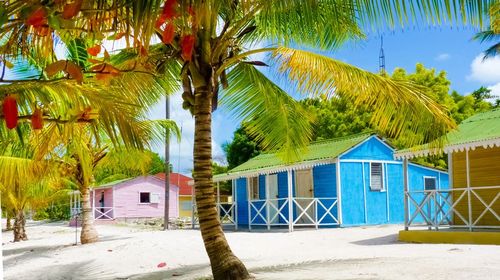 Culture, nature and seaside, from Santo Domingo to Saona