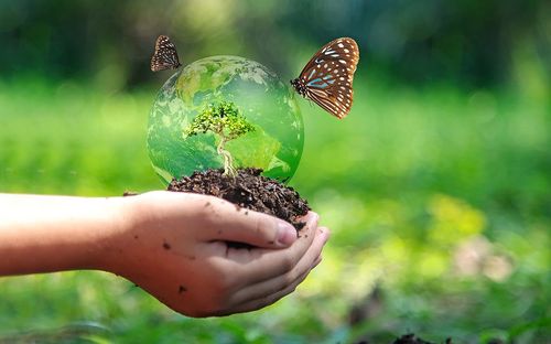 Gagner jusqu'à 30 000 € tout en aidant la nature ? C'est ce que propose le Loto de la Biodiversité dès lundi ! (ça paye d'être un citoyen responsable)