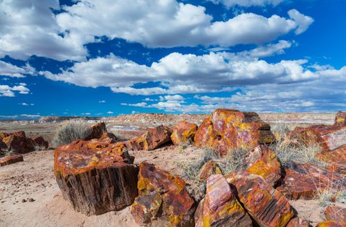 Ce Parc national américain cache d'étranges formations rocheuses : leur origine risque de vous étonner !