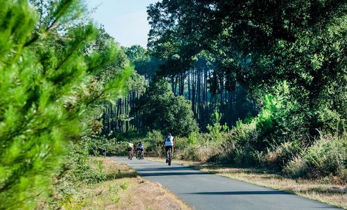 Que faire dans les Landes pendant les ponts de mai ? Voici 4 idées pour profiter de cette nature magnifique entre lacs, pinèdes et rivières !