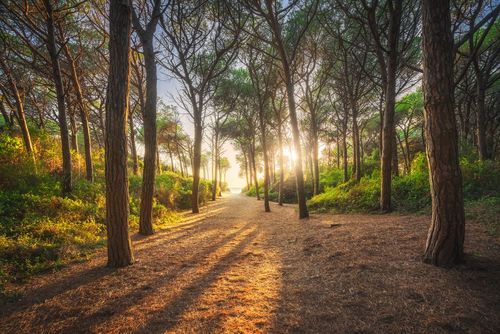 Senderismo y expolación en el Ecomuseo del Bosque Mediterráneo