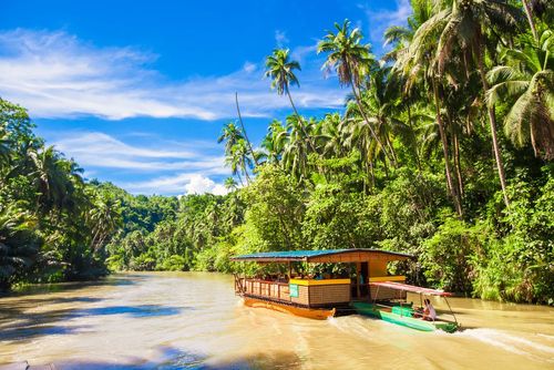 Pour un dépaysement total, optez pour une croisière sur l'un des plus grands fleuves d'Amérique, d'Afrique ou d'Asie !