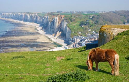 Ce petit village du littoral normand est parfait pour observer les grandes marées ! 