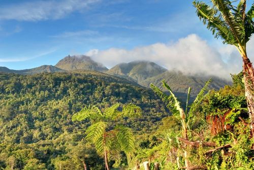  Guadeloupe : apprécié des touristes, ce lieu naturel impressionnant ferme en partie au public