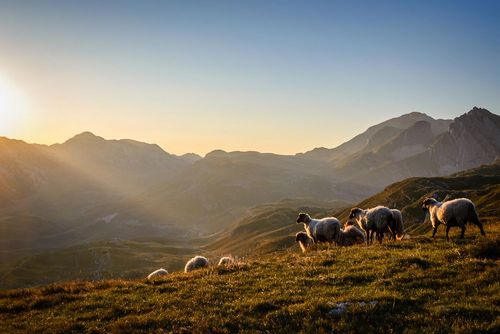 Vous partez au Monténégro ? Voici 5 des plus beaux sentiers de randonnée pour découvrir des panoramas d'exception !