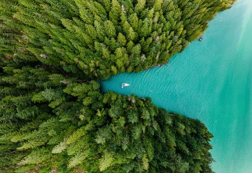 A la fois grandioses et insolites, voici les forêts les plus féeriques du monde 