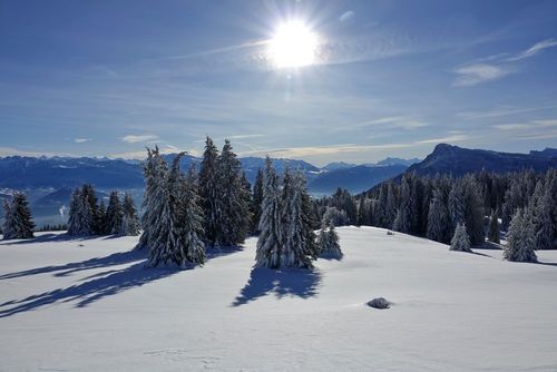 Ambiance film de Noël garantie dans ces 3 communes à l'atmosphère chaleureuse et aux paysages féeriques !