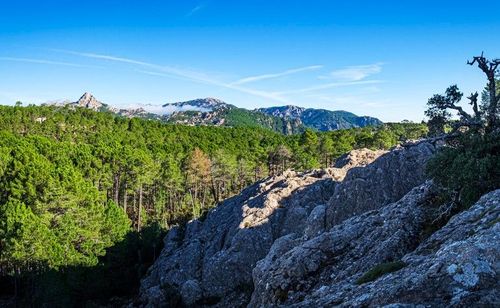 En Corse, ces hébergements insolites en pleine nature proposent de dormir dans une bulle suspendue entre ciel et terre ! 