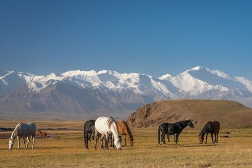 Ce magnifique pays d'Asie est complètement ignoré des touristes : l'endroit parfait pour des vacances nature loin de la foule !