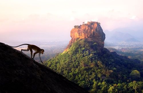 Le classement des destinations les plus accueillantes selon les touristes vient d'être dévoilé par Booking.com ! (Une région française se trouve dans le Top 10)