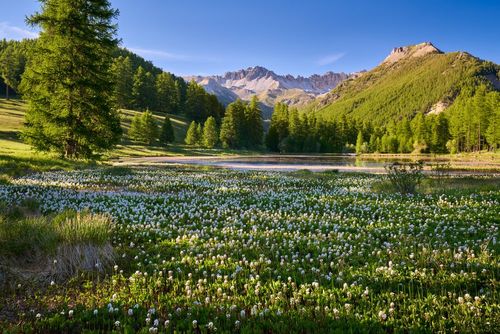 Avec ses lacs, ses montagnes et ses forêts, cette vallée des Alpes a des airs de paysages canadiens ! (A voir au moins une fois)