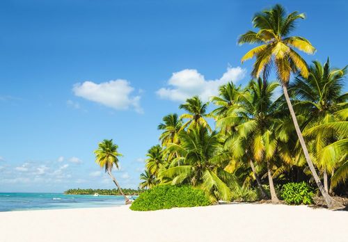 Cette île paradisiaque a été élue meilleure destination des Caraïbes en 2024 !