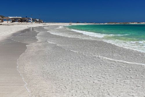 Le bon plan voyage du jour : partez à Djerba pour 8 jours et 7 nuits, avec le vol et l’hébergement en pension complète à partir de 442 euros !