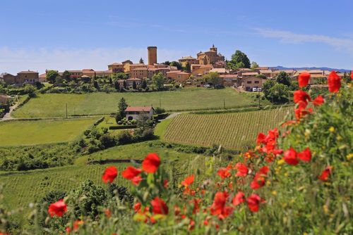 Situé à 30 minutes de Lyon, ce village perché sur un rocher est à visiter le temps d'un week-end printanier !