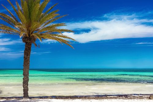 Un bon plan en famille en Tunisie : 8 jours en hôtel 4* face à la mer en formule tout compris et avec vols inclus dès 416 € !