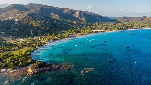 Palombaggia, la stella delle spiagge di Porto-Vecchio