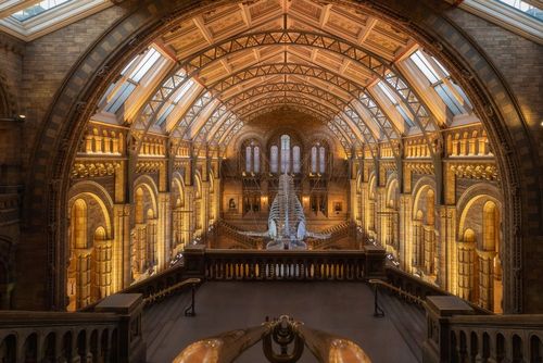 This London museum turns into a club once a month.
