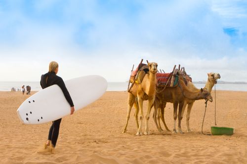 Eaux claires et sable doré : les 10 plages à ne pas manquer au Maroc