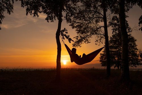 Maisons dans les arbres, villas de luxe ou encore refuges au bord de l'eau... Voici les locations Airbnb les plus incroyables (selon TikTok) !