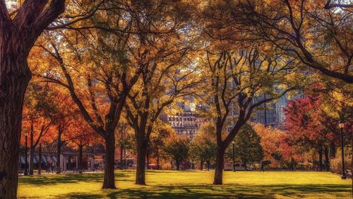 Boston e la sua natura