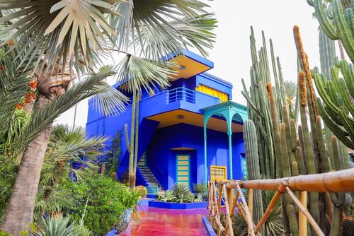 Le jardin Majorelle : un oasis de paix à Marrakech, où l'art et la nature se côtoient