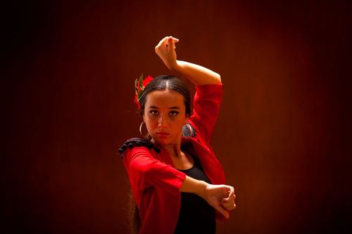 Laissez-vous emporter dans la danse au Musée du Flamenco de Séville