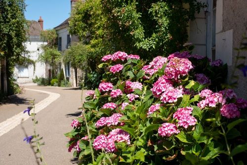  Touraine : 5 villages fleuris à visiter au printemps