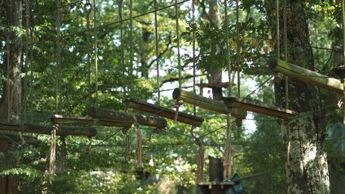 Der Accrobranche-Park in Cassis, die perfekte Aktivität für Kinder!