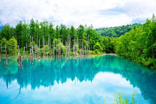 Au Japon, cet étang fascinant change de couleur avec les saisons !