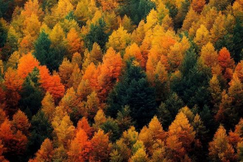 Pour vos prochaines vacances, voici 5 destinations idéales à visiter en automne !