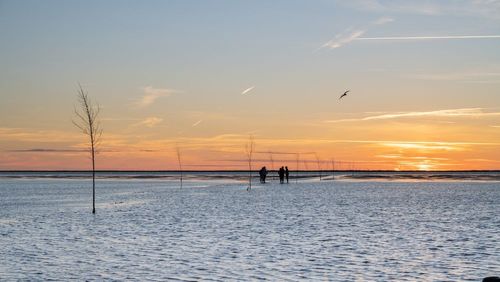 Safari, balades insolites et plages de sable fin, découvrez les secrets de cette destination surnommée “l'île des marées” 