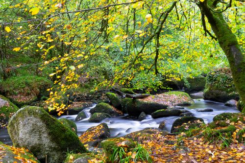 A 2h de Rennes, cette mystérieuse forêt abriterait des fées et des rochers magiques… (et non, ce n’est pas la forêt de Brocéliande !)