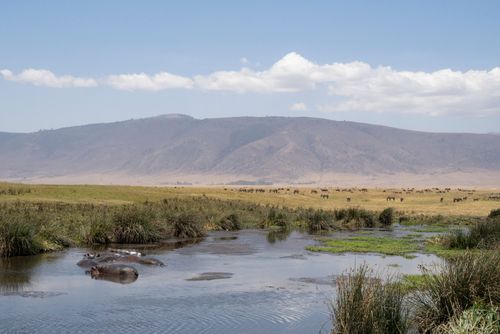 Discovering the giant Ngorongoro Crater in the heart of Tanzania