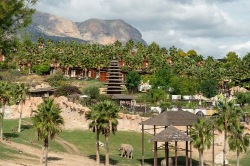 Terra Natura, die Verbindung zu Ihrer wilden Seite