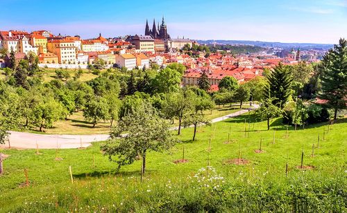 Explorez les parcs enchanteurs de Prague, une oasis de verdure
