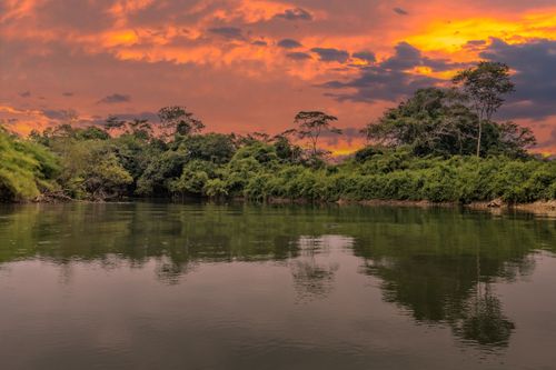 Tortuguero, el pequeño Amazonas de Costa Rica