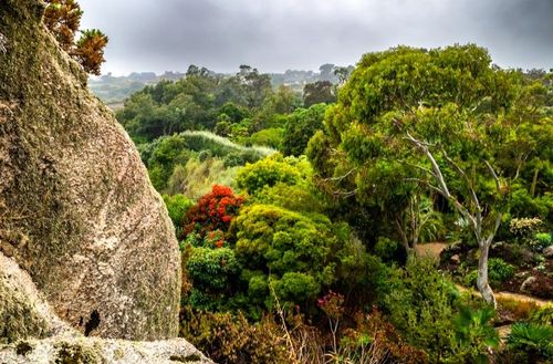 Pas besoin de partir dans les Caraïbes, ce jardin botanique situé en Bretagne abrite une collection remarquable d'espèces tropicales ! 